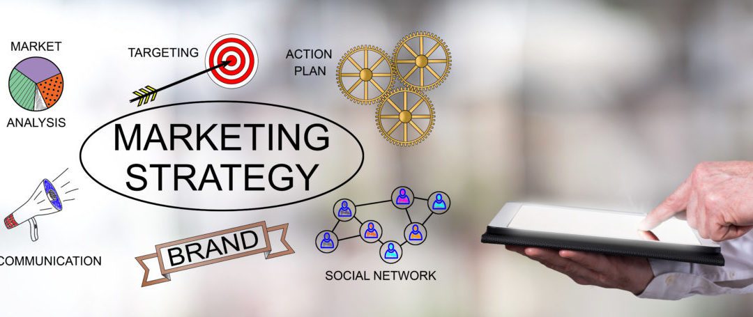 Adapting Your SEO Strategy When Your Business Changes